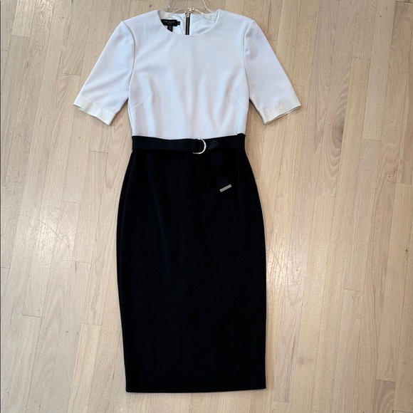 Ted Baker London Dresses & Skirts - Ted Baker London Classic White and Black Fitted Midi Dress